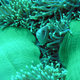 A scene near Swallow Reef.